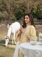 Roohi – Elegant Festive Lawn Suit For Women