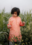 Pastel Pink Mysore Kurta – Festive & Party Wear for Boys