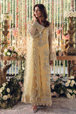 Traditional Party & Bridal Dress For Women